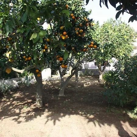Casetta Minghitto Relaxing In Capri Couette-café