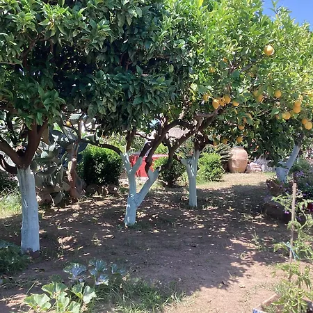 Casetta Minghitto Relaxing In Capri Bed & Breakfast 3*