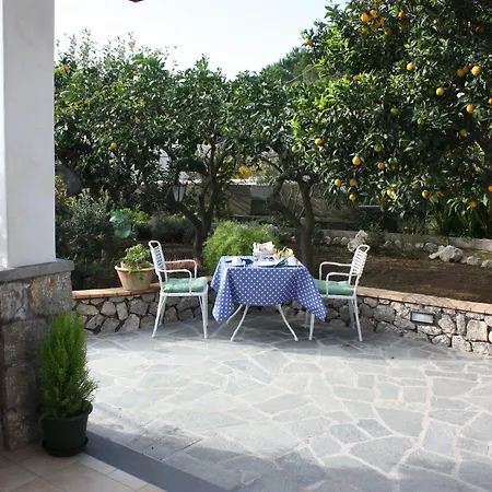 Casetta Minghitto Relaxing In Capri 3* Anacapri (Isola di Capri)