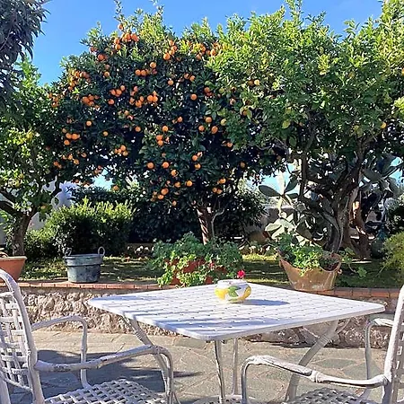 Casetta Minghitto Relaxing In Capri Bed & Breakfast Anacapri (Isola di Capri)