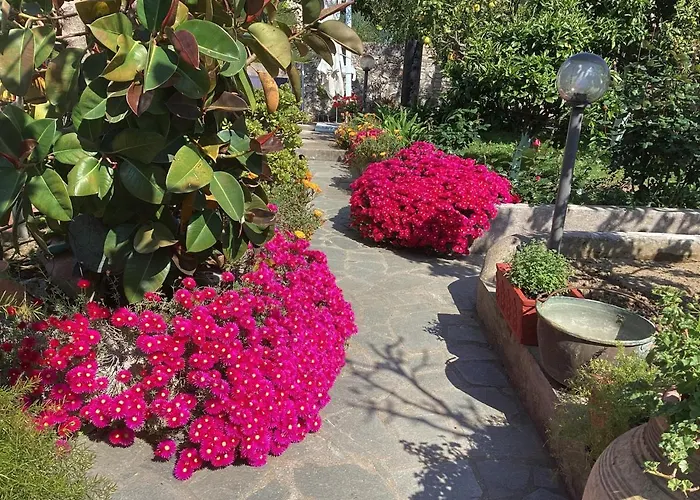 Casetta Minghitto Relaxing In Capri Bed & Breakfast