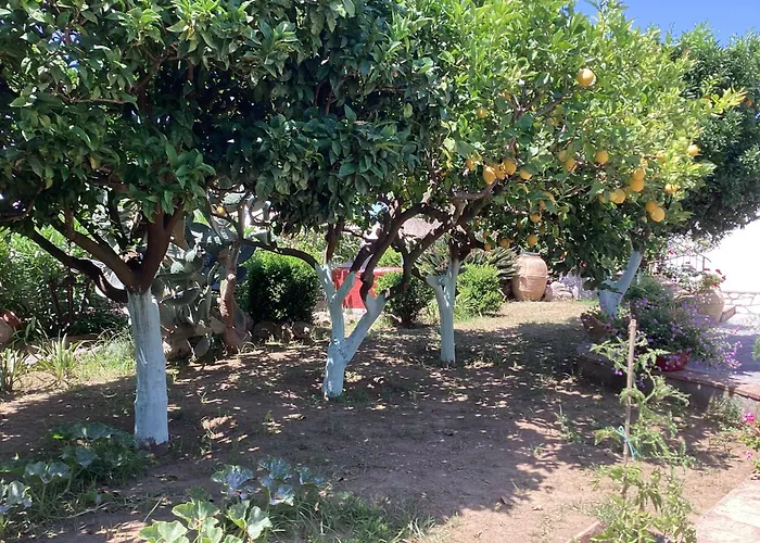 Casetta Minghitto Relaxing In Capri Oda ve Kahvaltı 4*