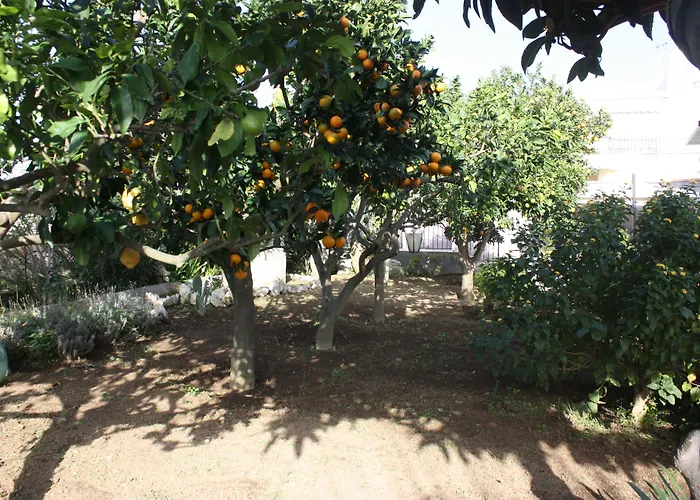Casetta Minghitto Relaxing In Capri Bed & Breakfast