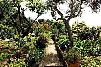 Bed and Breakfast Casetta Minghitto Relaxing In Capri 3*