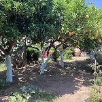 Casetta Minghitto Relaxing In Capri Bed & Breakfast 4*