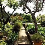Bed & Breakfast Casetta Minghitto Relaxing In Capri 4*